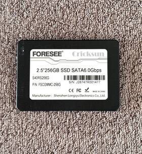 Fscgbhc-256g Foresee 256gb Ssd 2.5 Inch Internal Solid State Drive Formatted Ntfs Sata Iii