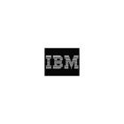 Ibm 2-port Daughter Card Sas Raid Controller - Serial Ata/600, Attached
