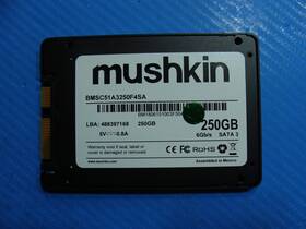 Bmsc51a3250f4sa Mushkin Enhanced Lenovo E580 250gb 2.5 Inch Sata Ssd Solid State Drive