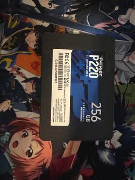 P220s256g25 Patriot Memory P220 256gb Ssd 2.5 Inch Sata Iii 6gb/s Internal Solid State Drive For Pc/mac