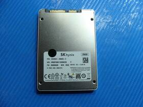 Shgs31-250gs-2 Sk Hynix Shgs31-250gs Lenovo T470 250gb Sata 2.5 Inch Ssd Solid State Drive
