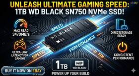 Wds100t3x0c-00jg0 Wd Black Sn750 Se 1tb M.2 Nvme Internal Ssd