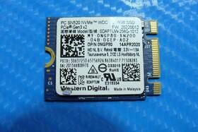 Sdaptuw-256g-1012 Western Digital Dell 3500 Wd 256gb M.2 Nvme Ssd Solid State Drive Ngp80