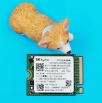 Dell 512GB Nvme Pcie M.2 2230 Solid State Drive Ssd 0WYTPM. Fixed Price $79.99.