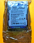 New Western Digital 750GB Sata 2.5 Hard Drive WD7500BPVT-00HXZT1. Fixed Price $44.99.