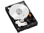 Micron M600 MTFDDAT256MBF 256GB 1.8" 512 Msata Ssd. Fixed Price $79.99.