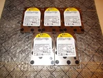 (5) Western Digital Velociraptor WD3000BLHX 300GB 10K 2.5 Sata Hard Drives. Fixed Price $49.99.