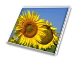 New 14.1" Wxga Laptop Led Lcd Screen For Ibm Lenovo T400 R400 LP141WX5. Fixed Price $99.98.