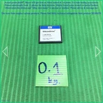 Western Digital Silicondrive SSD-C01GI-3625, Gb Pata Card As Photo, SN:0702.. Fixed Price $34.54.