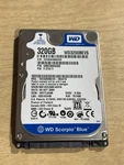Western Digital Scorpio Blue (WD3200BEVS) Gb Internal 2.5" Hard Drive Hdd. Fixed Price $12.99.