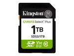 Kingston Canvas Select Plus GEN3/S Extended Capacity (sdxc) SDS3/1TB. Fixed Price $134.77.