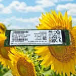 Sk Hynix - 256GB Internal Ssd SC311 Sata M.2 Green Solid State Drive. Fixed Price $25.00.