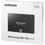 Samsung Evo MZ-750250BW 2.5" Sata Iii Solid State Drive Ssd. Fixed Price $139.99.