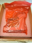 Hewlett Packard CC903-62866 Cmb Nova PH-1X Print Head New. Fixed Price $1530.00.