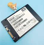 WDS500G1B0A-00H9H0 Western Digital Blue Pc 500GB 6G 2.5" Sata Ssd. Fixed Price $79.00.