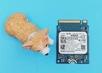 Dell Kioxia 512GB Nvme M.2 2230 Ssd 08C3CP KBG40ZNS512G Pcie GEN3. Fixed Price $69.99.