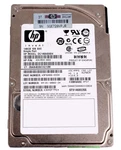 Hewlett Packard - Recertified 2.5" Internal Hard Drive Sas 3GB/S, 146GB 10K Rpm. Fixed Price $46.95.