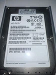 Hp EG0300FAWHV 300GB Internal 10000RPM 2.5" (507119-004) Hdd. Fixed Price $21.95.